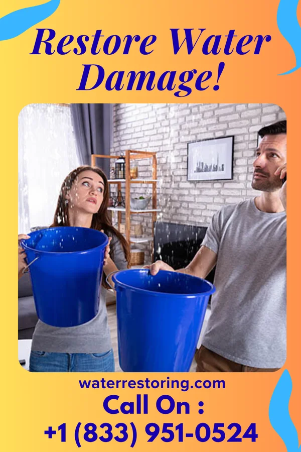 water restoration Vigilant Disaster Cleanup & Associates Elkhart Lake