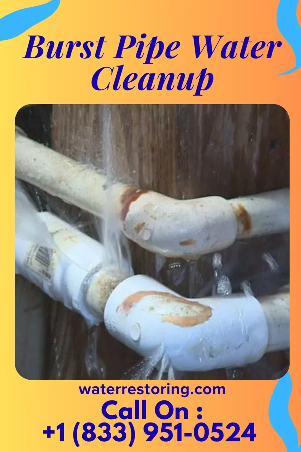Burst Pipe Water Cleanup in Elkhart Lake, WI