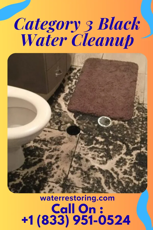 Category 3 Black Water Cleanup in Elkhart Lake, WI