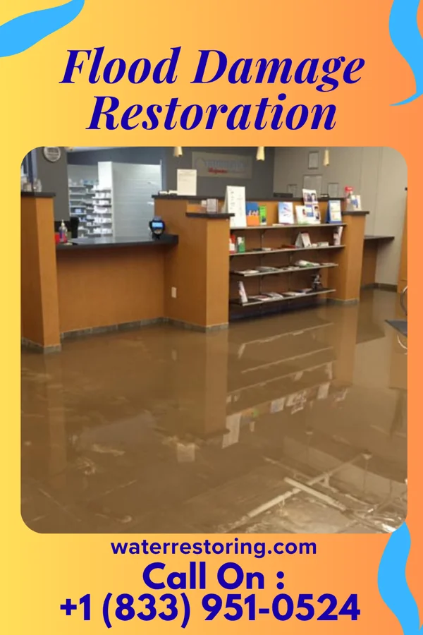 Flood Damage Restoration in Elkhart Lake, WI