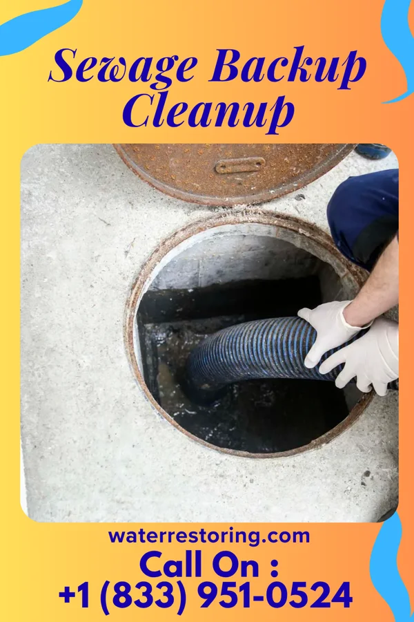 Sewage Backup Cleanup in Elkhart Lake, WI